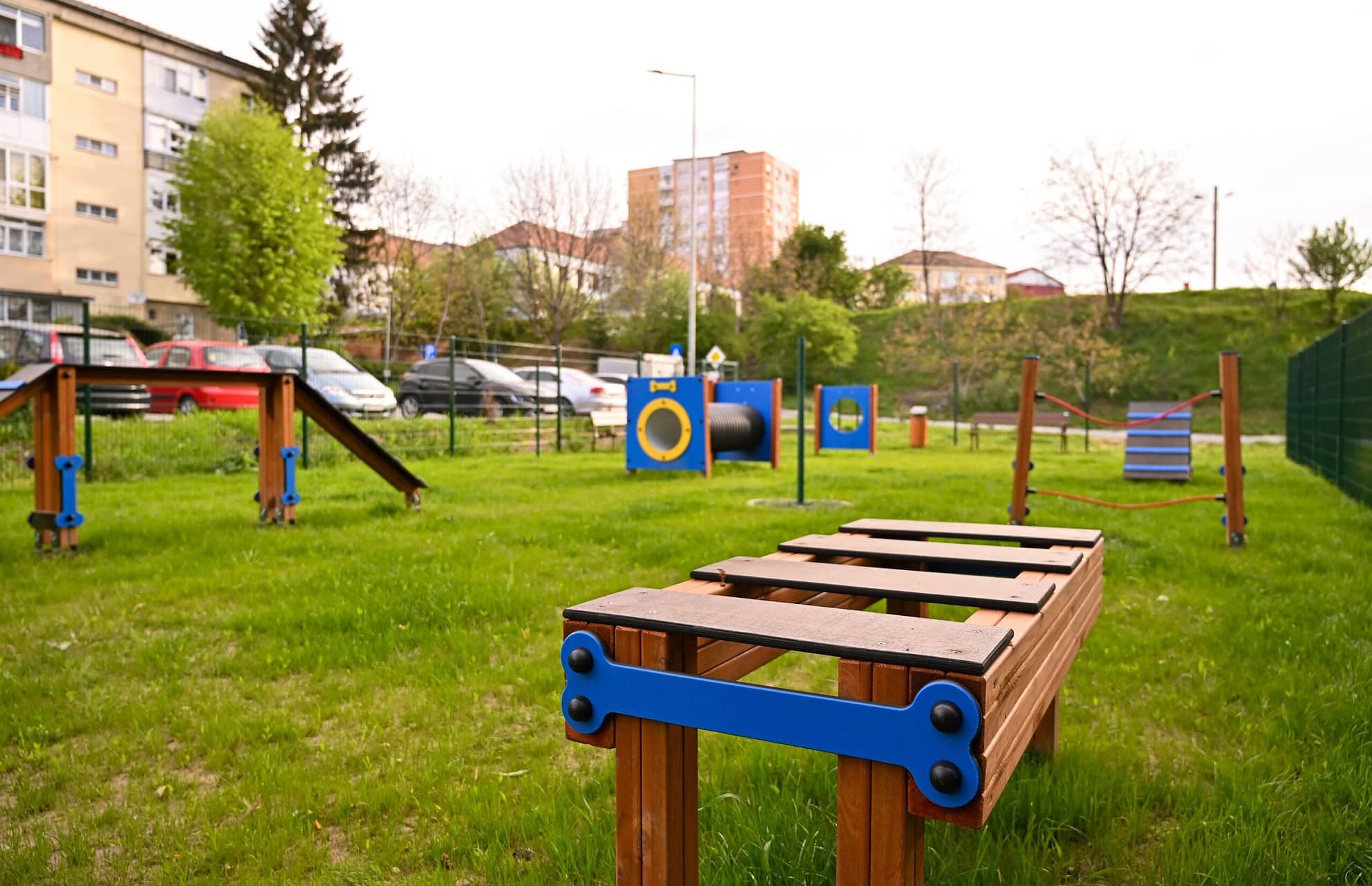 foto primăria a deschis trei locuri de joacă pentru câini - urmează un al patrulea în terezian