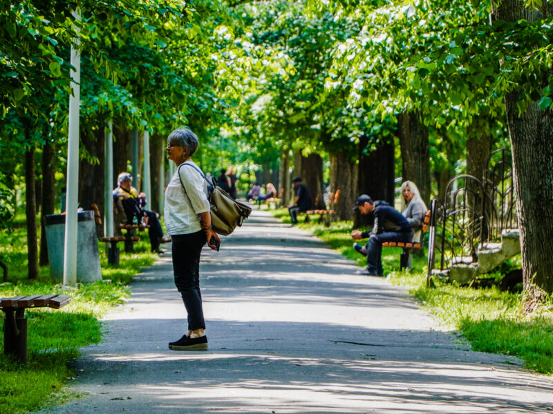 primăria dă 850.000 lei pentru cosirea ierbii și buruienilor în parcurile și zonele verzi din sibiu