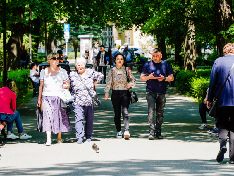 proiectul pentru reamenajarea parcului astra din sibiu, depus la mediu. fântâna va fi demolată