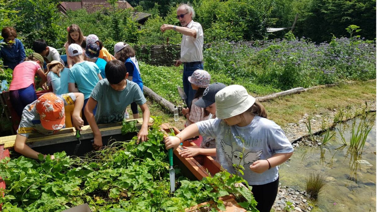 Au început înscrierile pentru școlile de vară din Sibiu - Tarifele ajung și la 1800 de lei