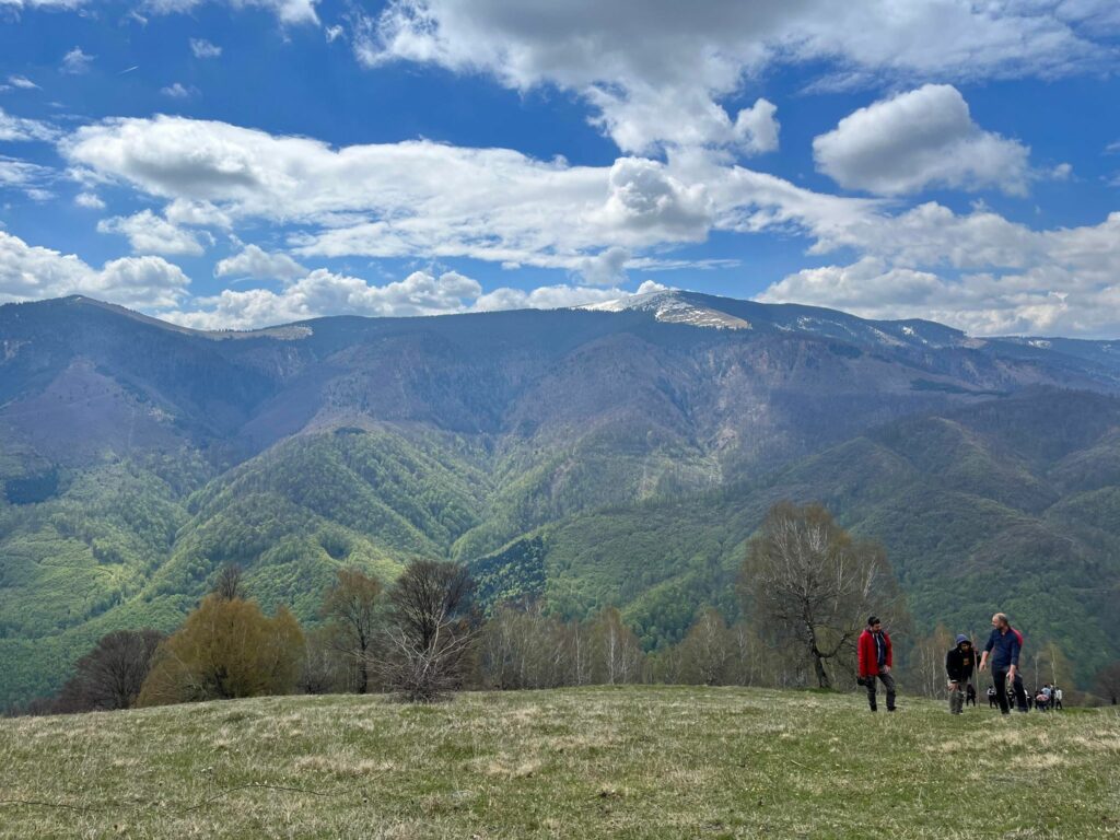 FOTO Vis împlinit pentru mai mulți copii defavorizați de pe Valea Hârtibaciu - S-au bucurat de prima tabără la munte