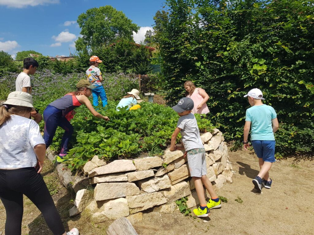 Au început înscrierile pentru școlile de vară din Sibiu - Tarifele ajung și la 1800 de lei