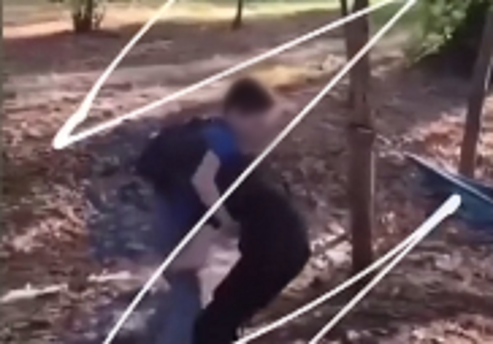 video alarmant la sibiu - copii surprinși în imagini în timp ce se bat în parcul sub arini - o pagină de instagram încurajează violența fizică