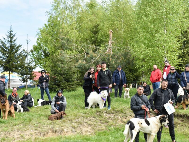 Expoziție chinologică multirasă la Sibiu - Participanții se pot înscrie până în 20 iunie