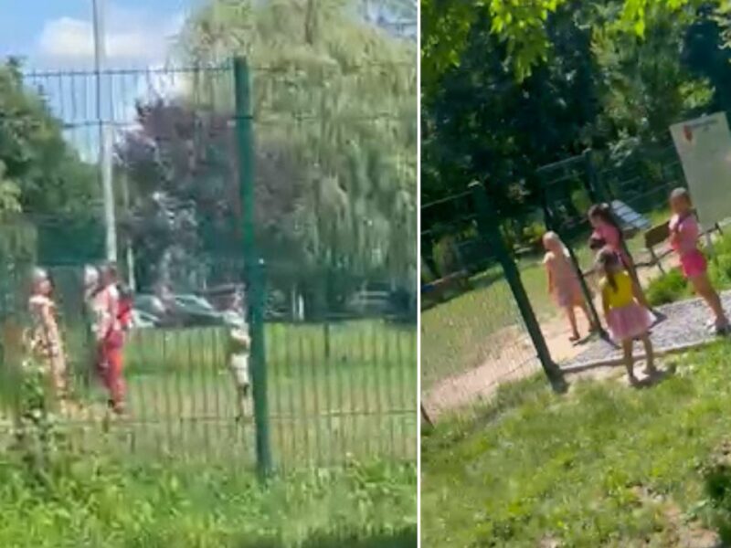 video parcul de câini din valea săpunului, invadat de copii - "dacă vă mușcă nepoata câinele meu, cine e de vină?"