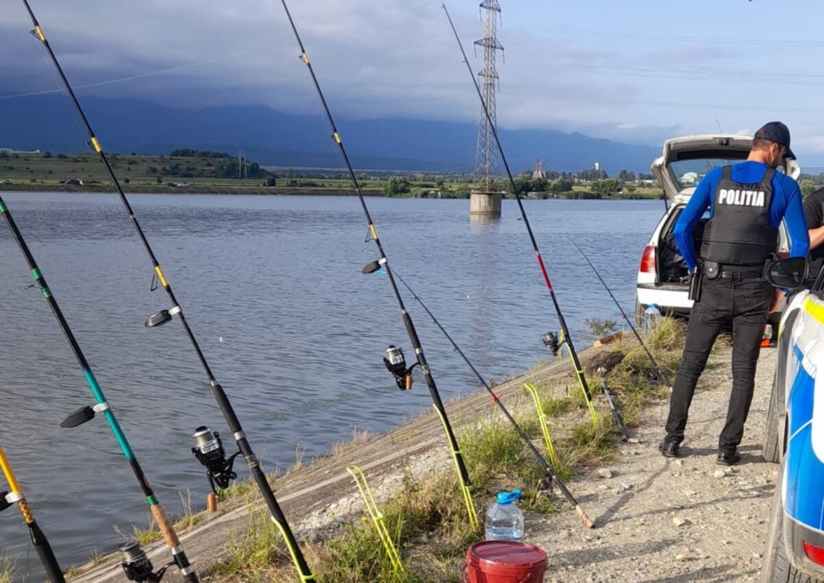 razie pe olt la avrig și porumbacu de jos - mai mulți pescari au fost amendați 