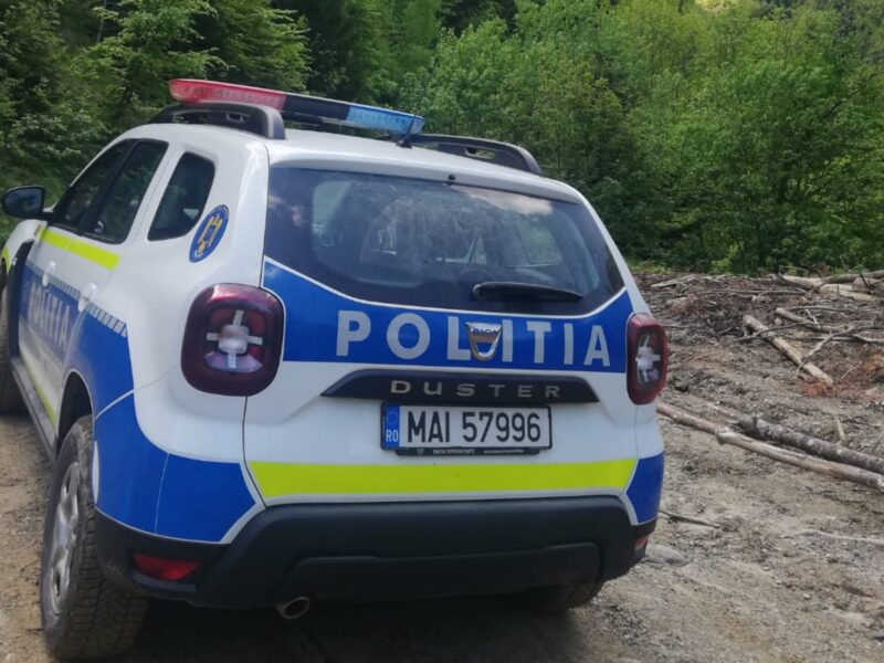 șmecheriile făcute de un șef de district din județul sibiu: a tăiat ilegal arbori din fondul forestier pentru firma lui și a fiului