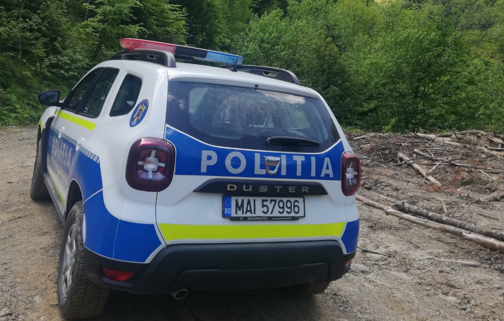 Transporturi ilegale de lemne în Sibiu - Polițiștii au dat amenzi de 55.000 lei pe Valea Frumoasei