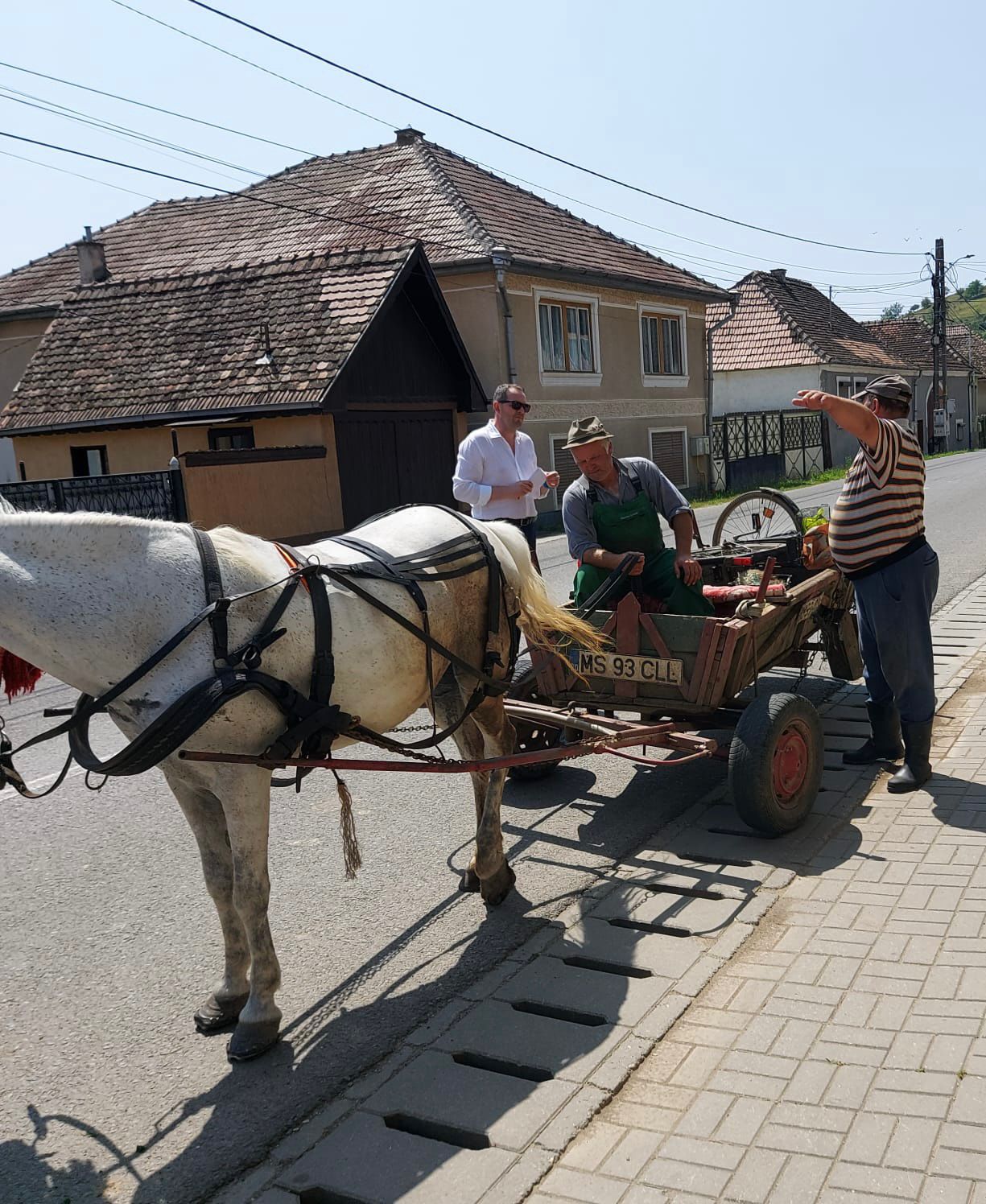 senatorul claudiu mureșan de vorbă cu locuitorii comunei dârlos