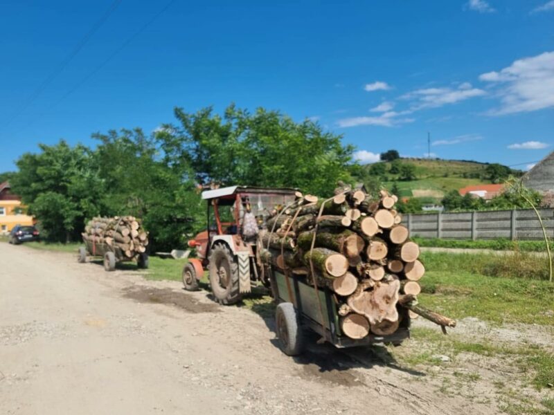 sibieni prinși cu lemne furate la vurpăr - au fost amendați cu 1.000 de lei fiecare