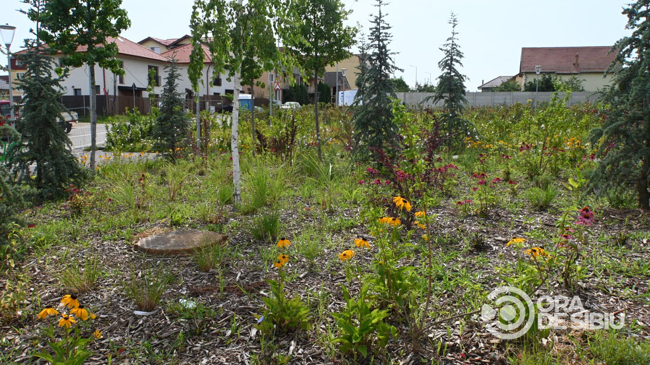 Imagini noi din Belvedere. Cel mai nou parc al Sibiului se deschide în august