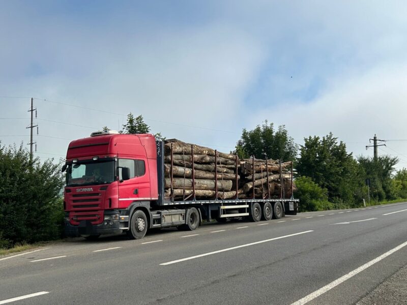 transport ilegal de lemne depistat în trafic la dumbrăveni - încărcătura tir-ului, confiscată de poliție