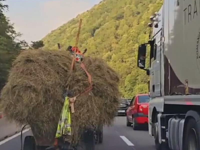 căruță cu fân, remorcată de o mașină, pe dn7, la boița