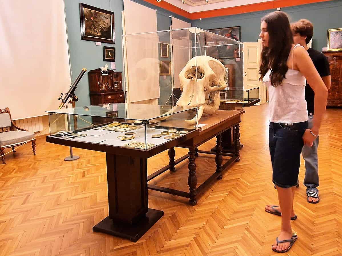 ghidul sibianului curios: expoziția unică în românia pe care o găsești la sibiu