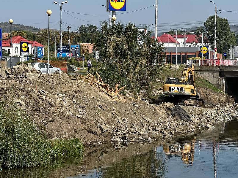 sălcii tăiate pe malul cibinului lângă podul din terezian (foto video)