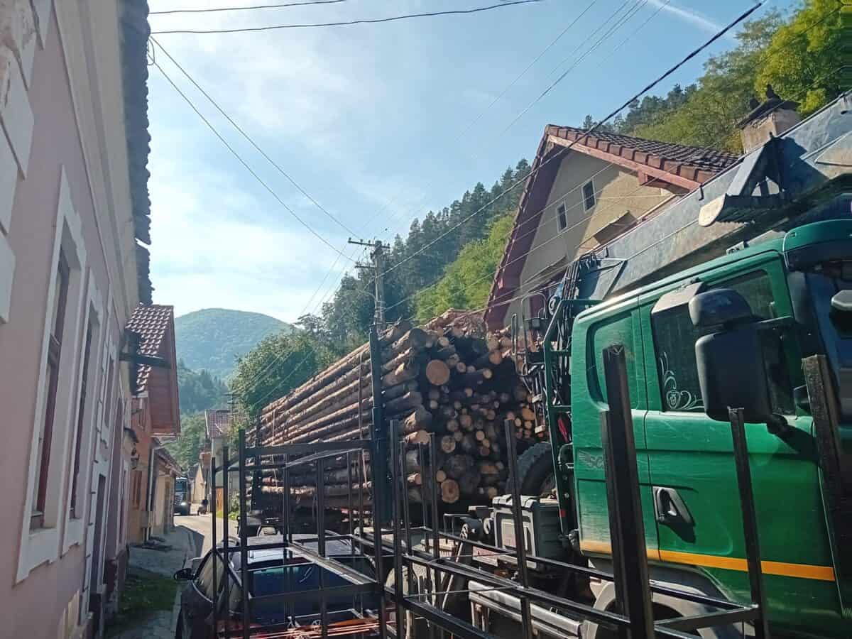 scandal între locuitorii din sibiel și șoferii camioanelor cu lemne. șeful ocolului silvic valea frumoasei: „parchează ostentativ” (foto, video)