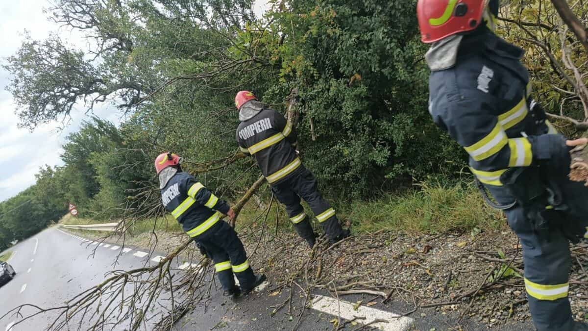 Ravagii după vijelie la Sibiu. Copaci căzuți pe carosabil și intervenție la un panou publicitar (foto)