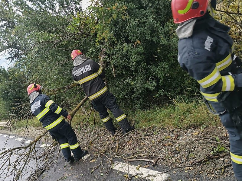 ravagii după vijelie la sibiu. copaci căzuți pe carosabil și intervenție la un panou publicitar (foto)