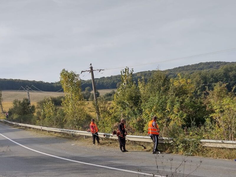 lucrări de întreținere și reparații pe drumuri județene din sibiu. se montează parapeți metalici noi între rășinari și păltiniș