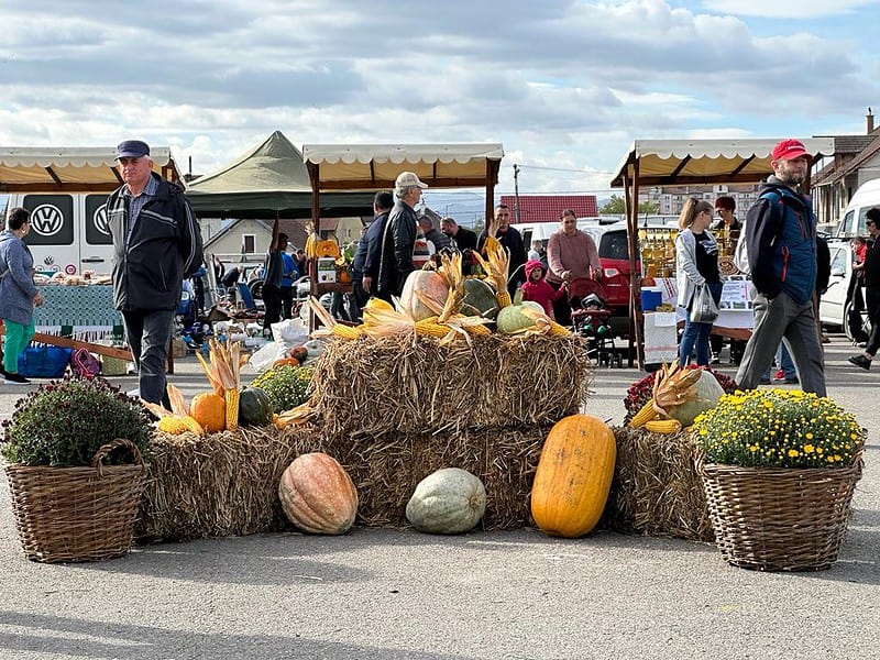 belșug de toamnă la târgul obor: producători locali și struguri delicioși din vrancea