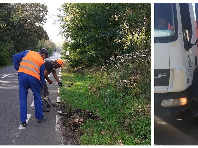 reparații și intervenții pe mai multe drumuri județene. pe cel spre păltiniș se toaletează vegetația de pe margini