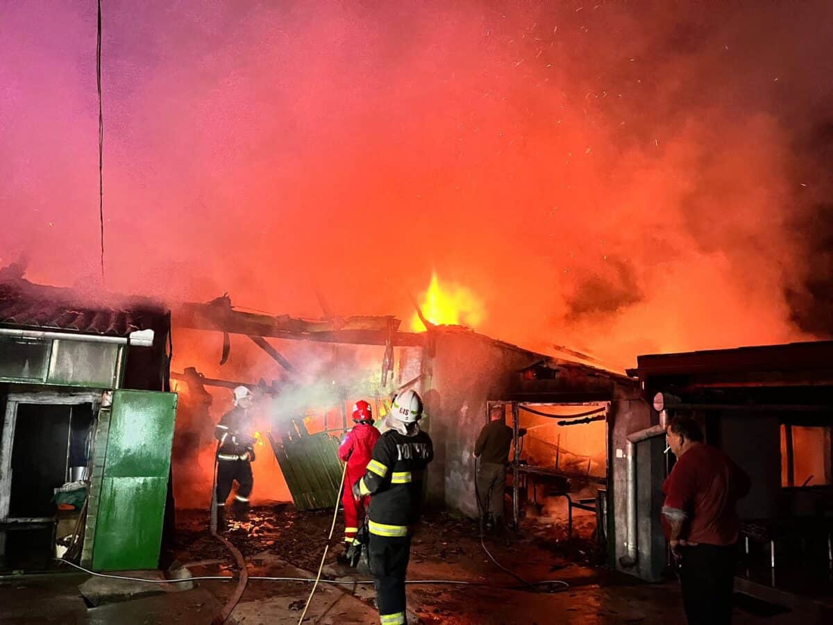 O șură și un garaj mistuite de flăcări la Loamneș. Opt purcei au murit în incendiu