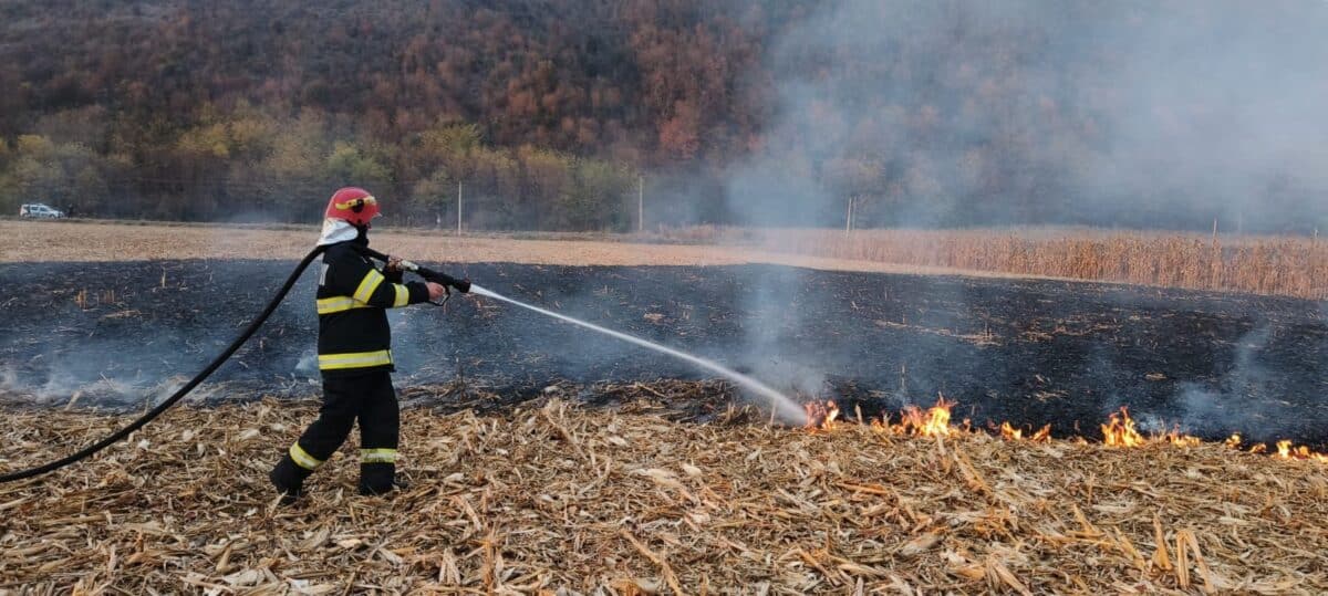 incendiu de vegetație sâmbătă după amiază în sibiu, între ștrand și turnișor