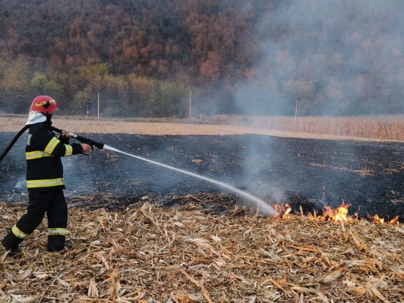 Incendiu de vegetație sâmbătă după amiază în Sibiu, între Ștrand și Turnișor