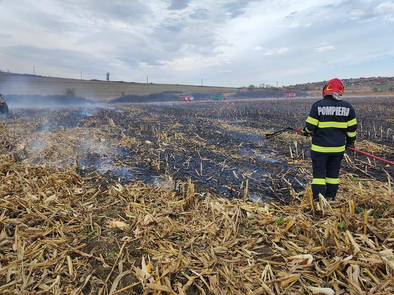 trei hectare de teren afectate în urma unui incendiu în sibiu