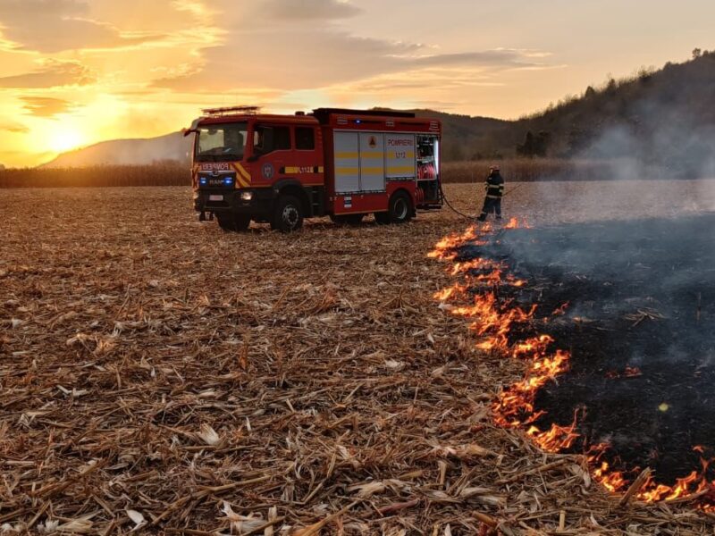 incendiu pe o miriște la ieșire din dumbrăveni