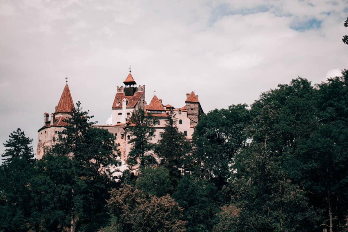 bran castle behind trees