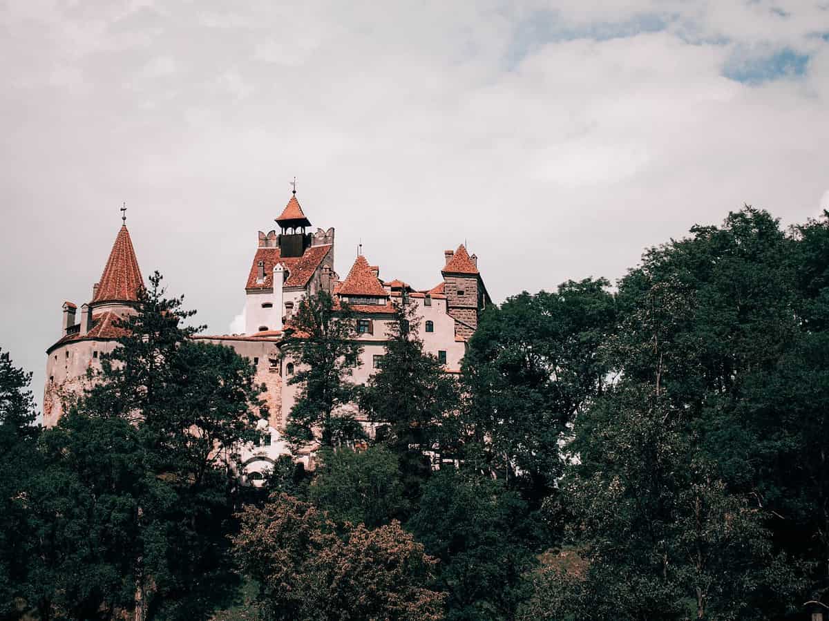 bran castle behind trees