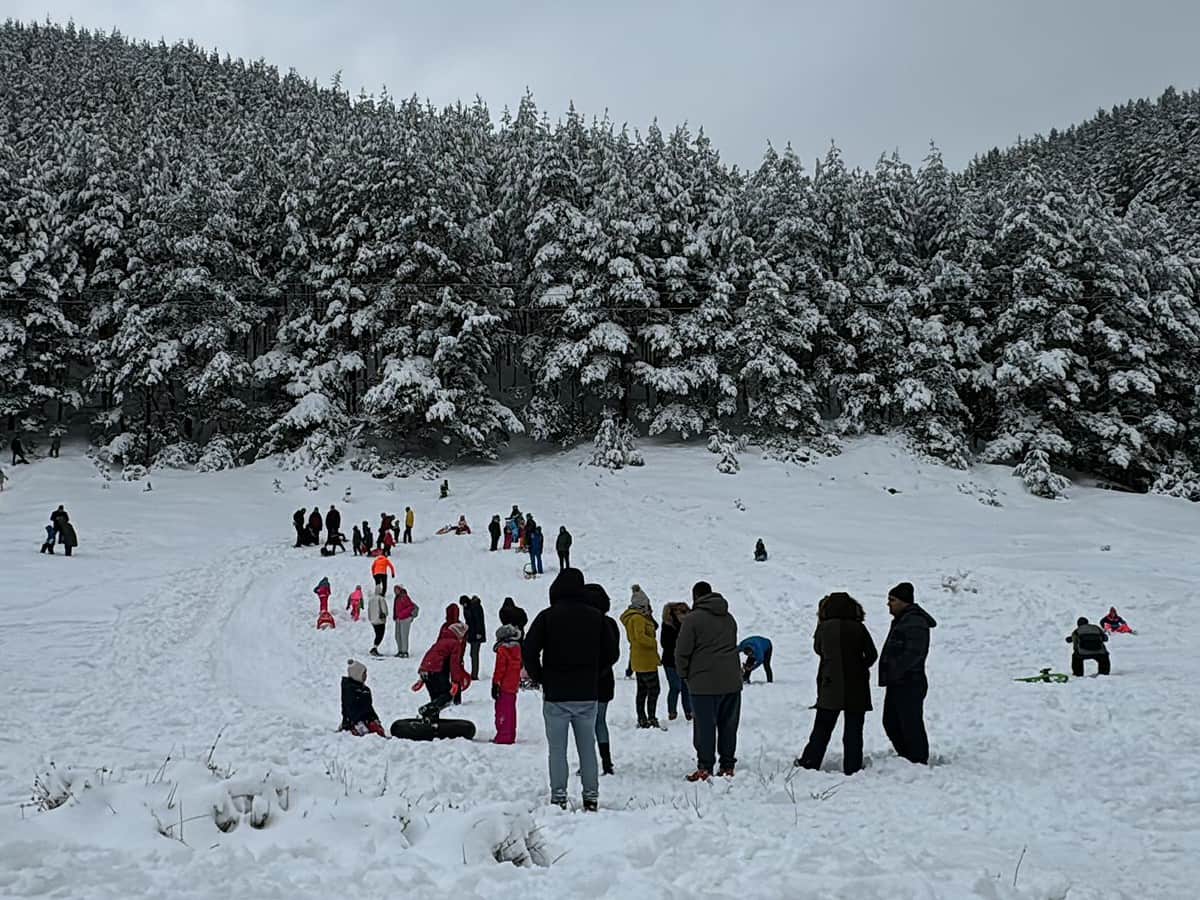 Prima zăpadă i-a scos pe sibieni din casă. Distracție și aglomerație la săniuș în Curmătura Ștezii (foto, video)