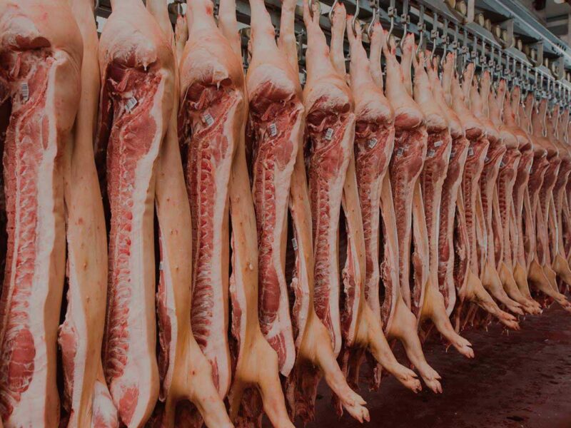 producătorii de carne de vită în pragul colapsului. pierd în jur de 1.000 de lei pe cap de animal