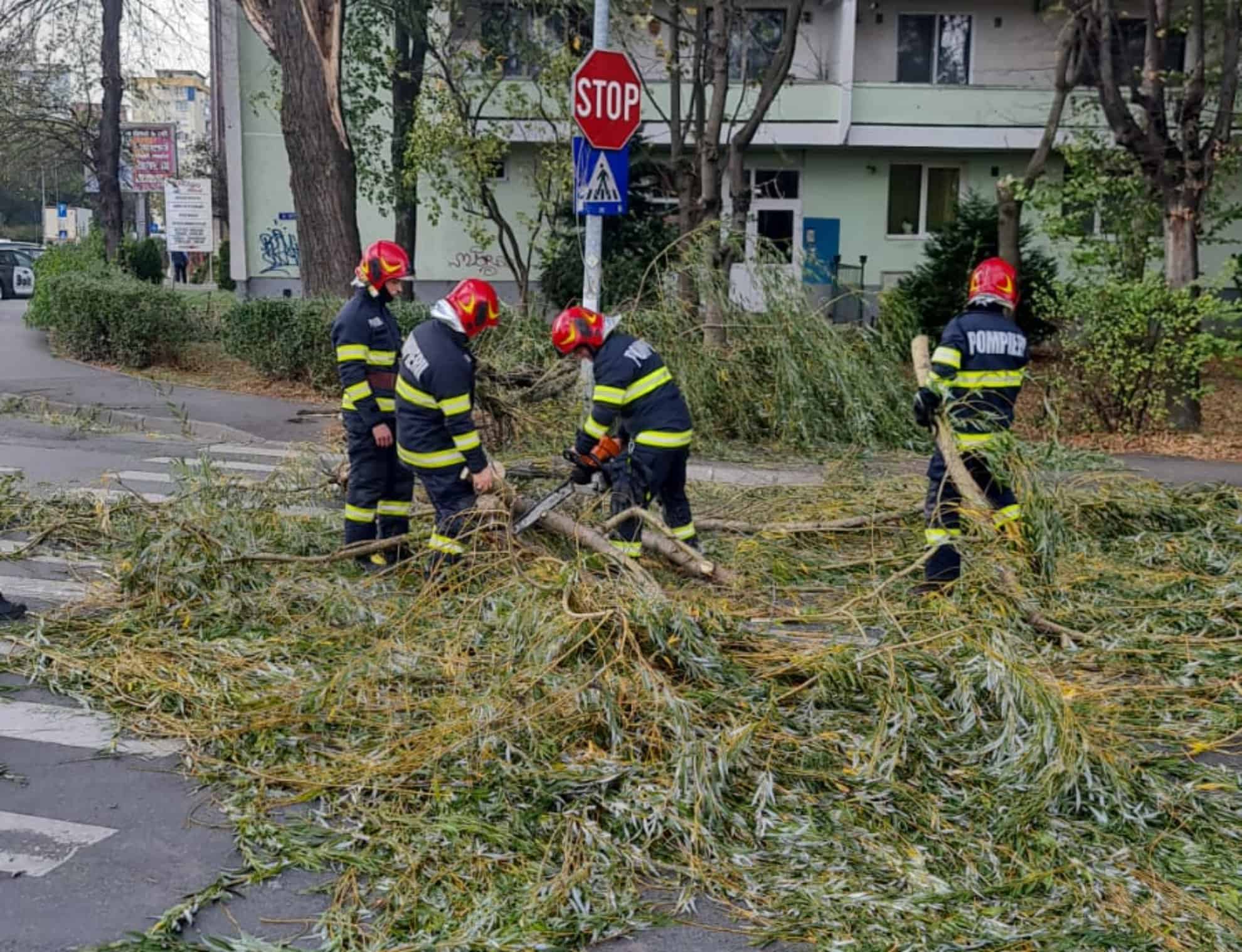 intersecție din sibiu blocată din cauza unui copac căzut pe carosabil (update)