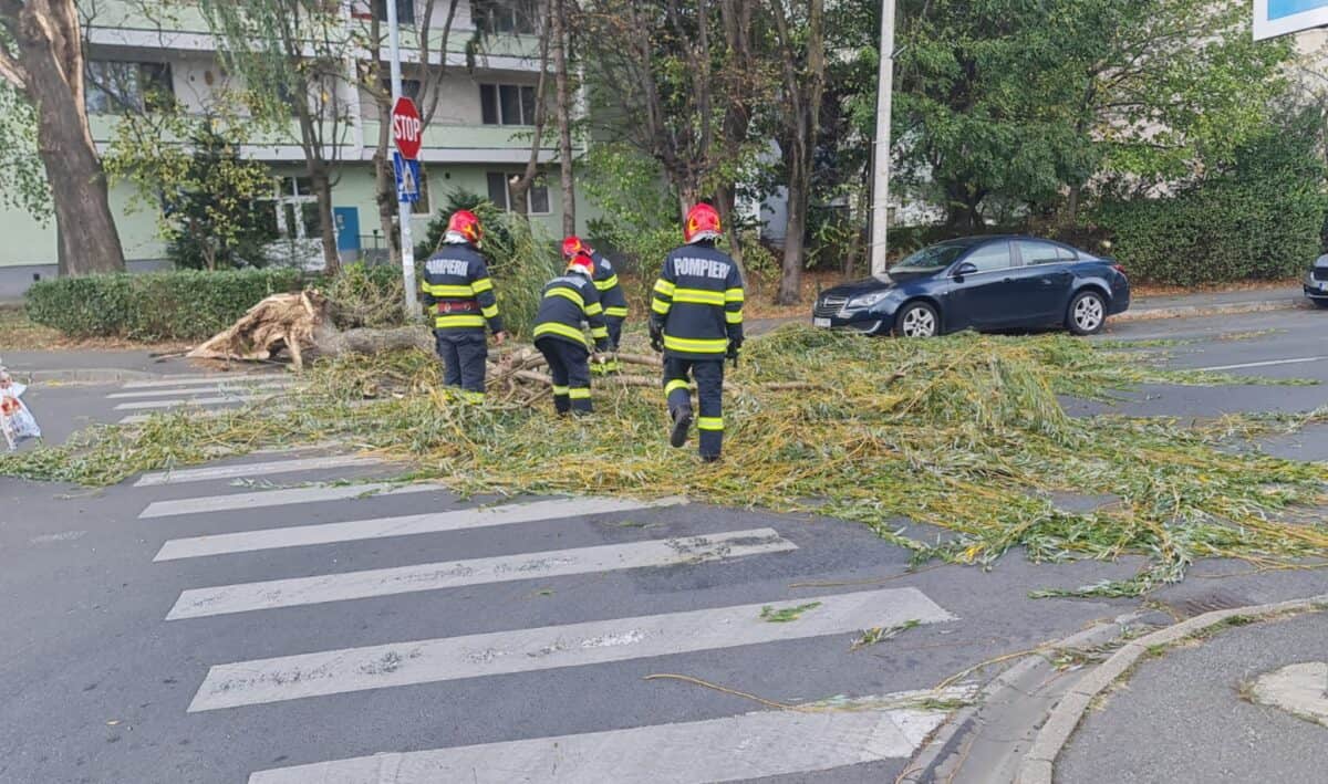 intersecție din sibiu blocată din cauza unui copac căzut pe carosabil (update)