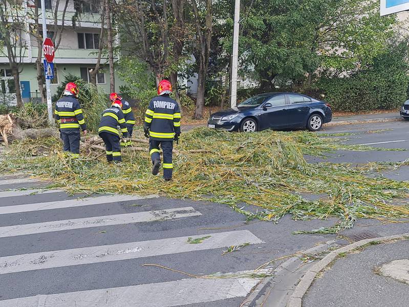 Intersecție din Sibiu blocată din cauza unui copac căzut pe carosabil (update)