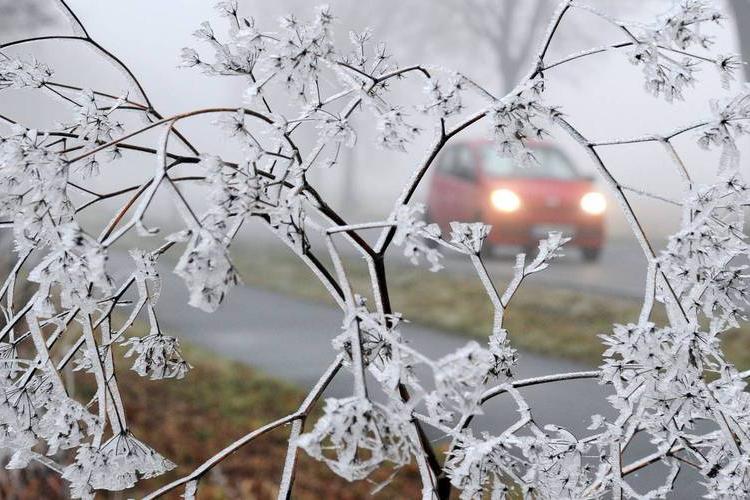 prognoza meteo: luna februarie mai călduroasă decât în mod normal