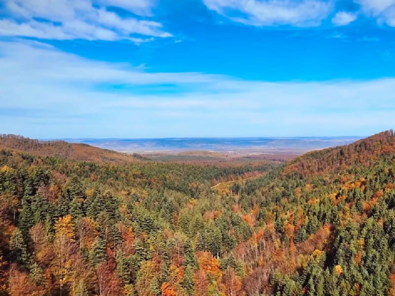 pădurile montane din zona avrigului, surprinse în imagini de toamnă superbe (video)