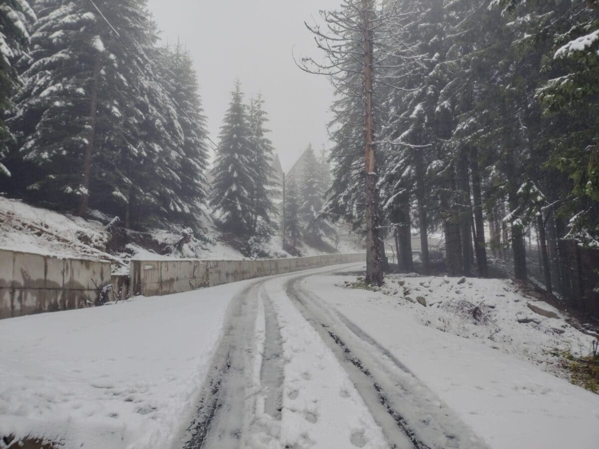 ninge la munte. la rânca s-a depus primul strat de zăpadă