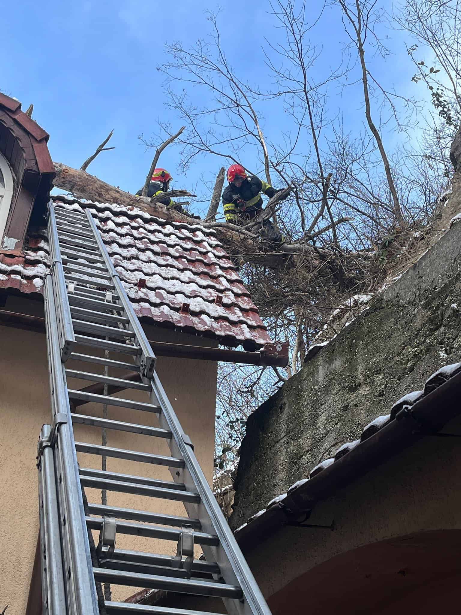 copaci căzuți pe calea dumbrăvii în zona muzeului și în tilișca din cauza vântului