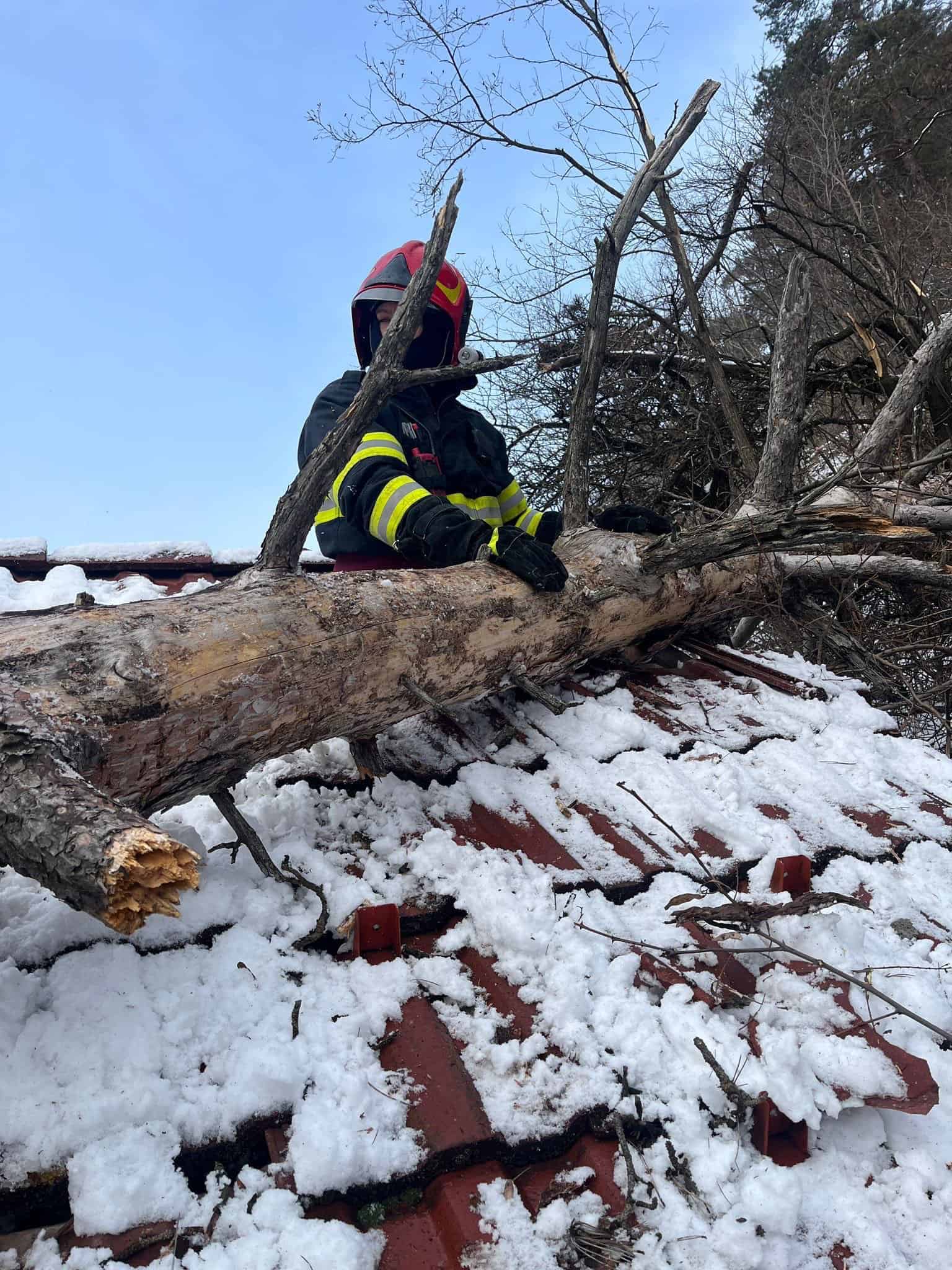 copaci căzuți pe calea dumbrăvii în zona muzeului și în tilișca din cauza vântului