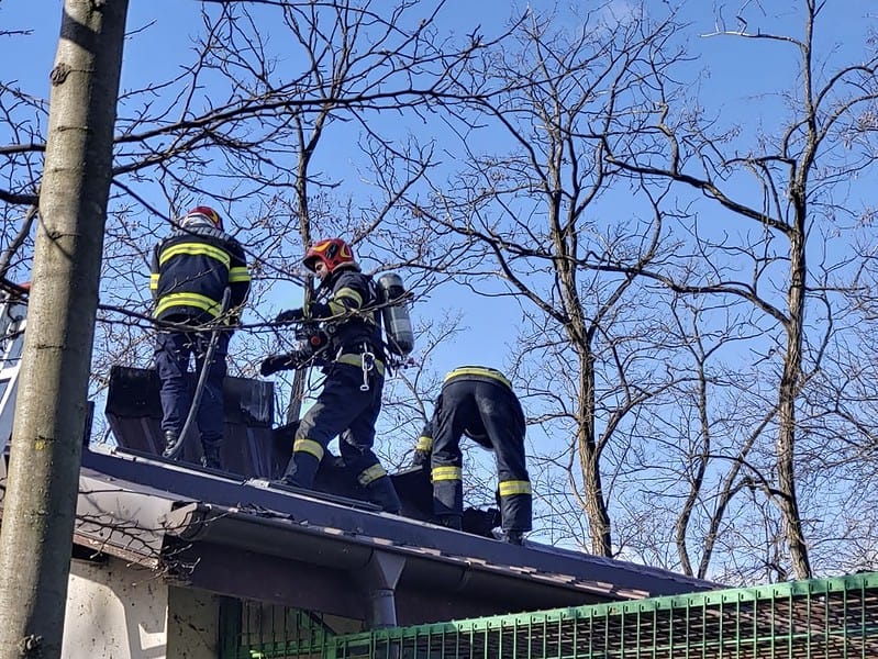 incendiu la zoo în vâlcea. animelele evacuate de urgență (foto)