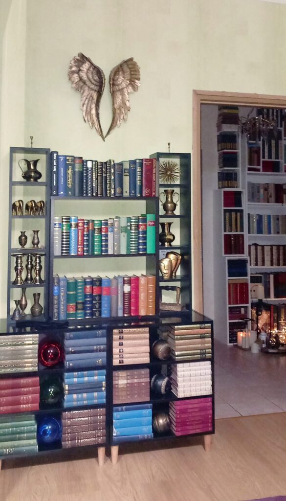 Cum arată bibliotecile de acasă ale sibienilor. Pozele postate au strâns mii de aprecieri (foto)