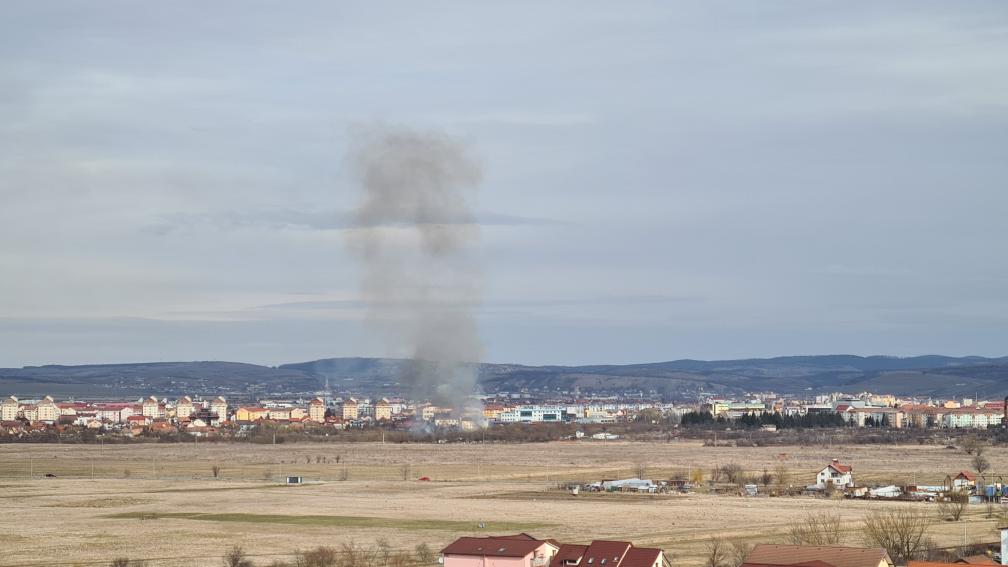 Incendiu de vegetație în zona străzii Maramureșului, în Sibiu