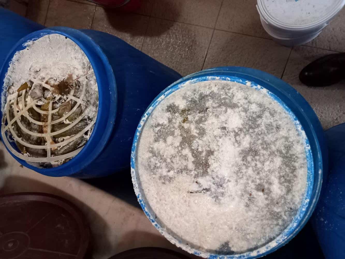 Restaurantul Prima din Sibiu, închis temporar de ANPC. Produse fără ambalaj, expirate și mucegăite (foto, update)