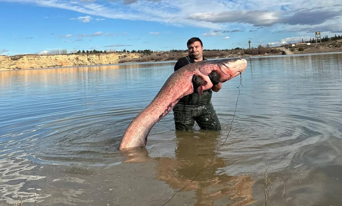 Un sibian stabilit în Austria prinde pești uriași, de peste 80 de kilograme. Marius: „Este un sport costisitor, dar merită” (foto)