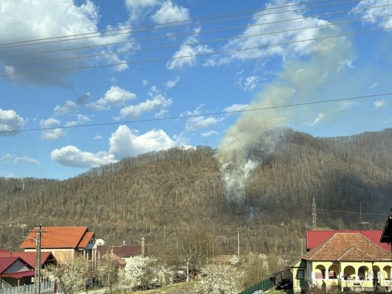 Incendiu de vegetație pe Valea Oltului. Arde pădurea în zona Brezoi (foto)