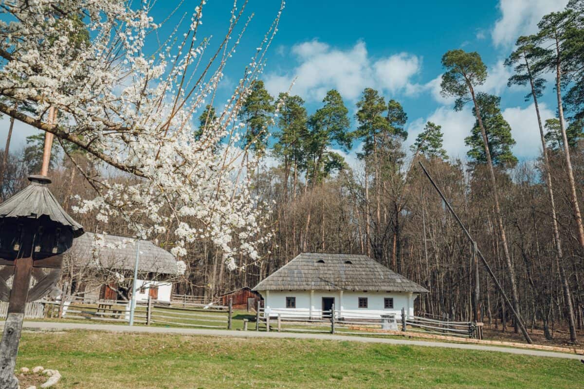 Muzeul Astra Sibiu trece la programul de primăvară