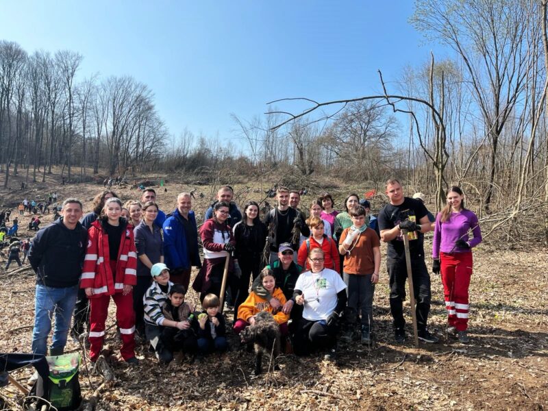 voluntarii crucii roșii sibiu s-au alăturat campaniei de plantare de primăvară la hosman (foto)